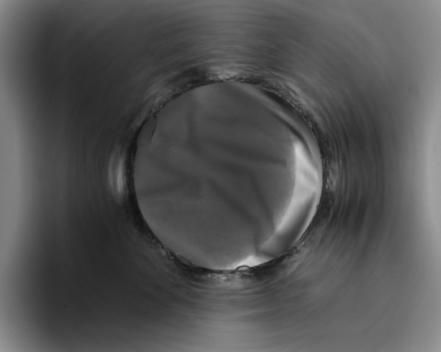 X0000096400524200802211206