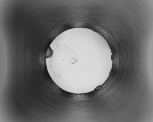 X0000096400525200802211206