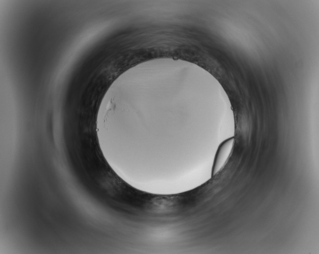 X0000096400526200802211206