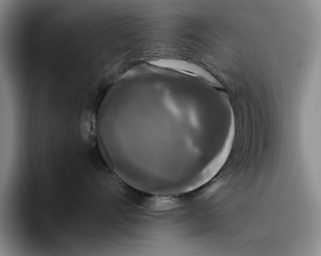 X0000096400528200802211206