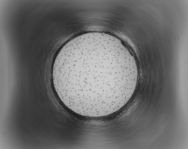 X0000096400529200802211205