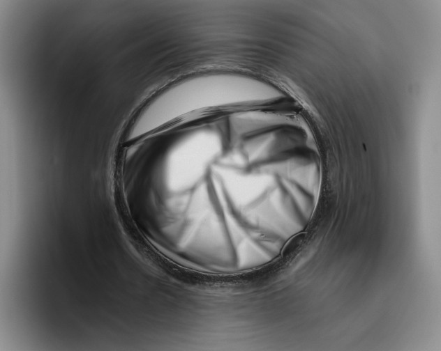 X0000096400530200802211205