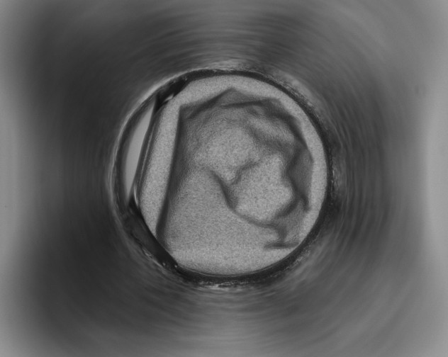 X0000096400532200802211205