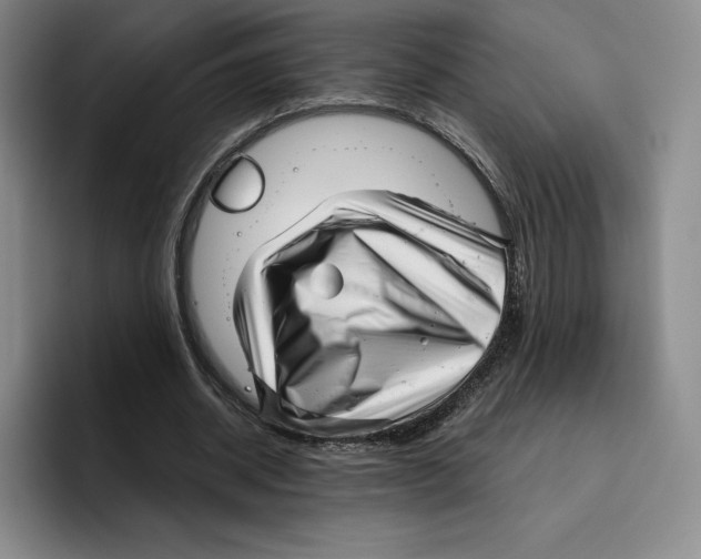 X0000096400534200802211205