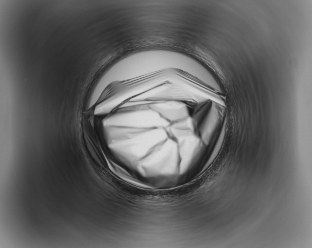 X0000096400538200802211205