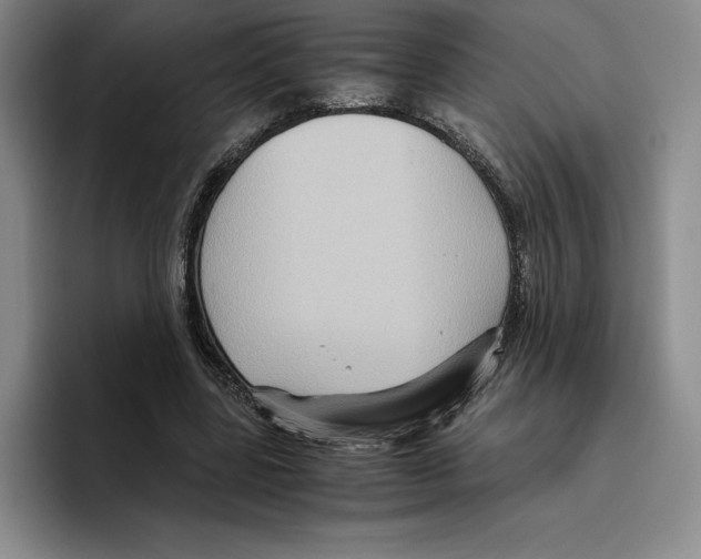 X0000096400539200802211206