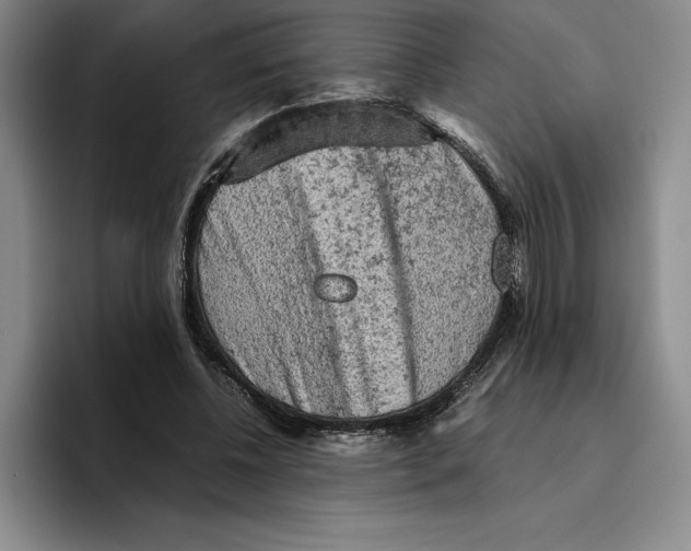 X0000096400540200802211206