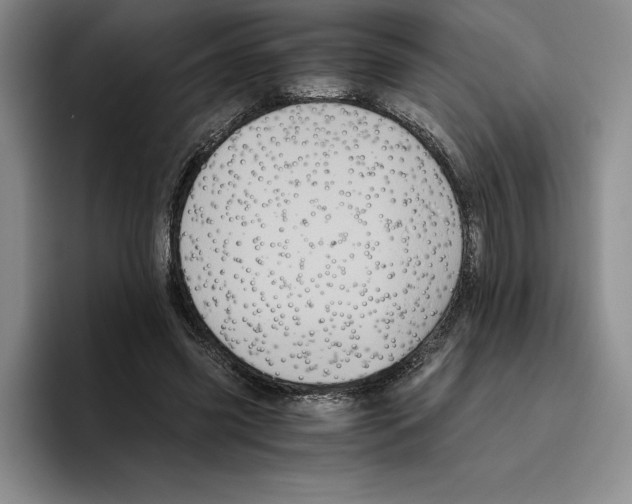 X0000096400541200802211206