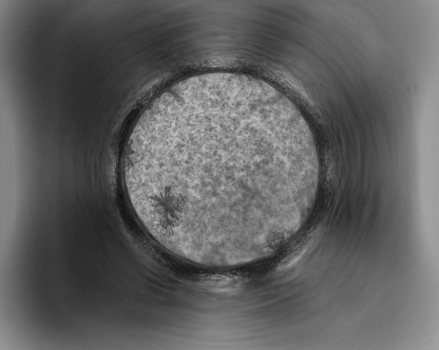 X0000096400542200802211206