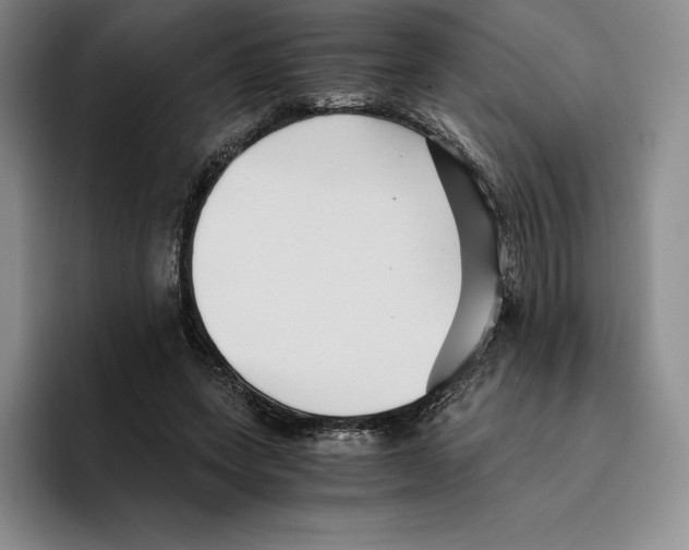 X0000096400543200802211206