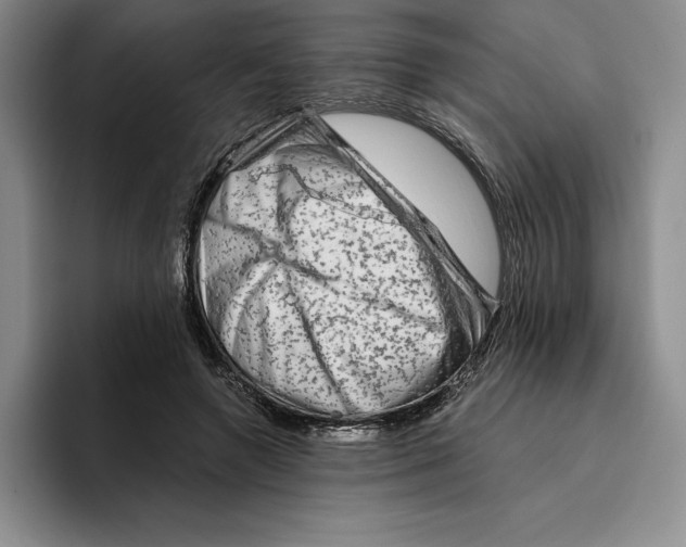 X0000096400546200802211206