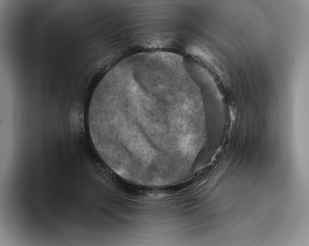 X0000096400547200802211206