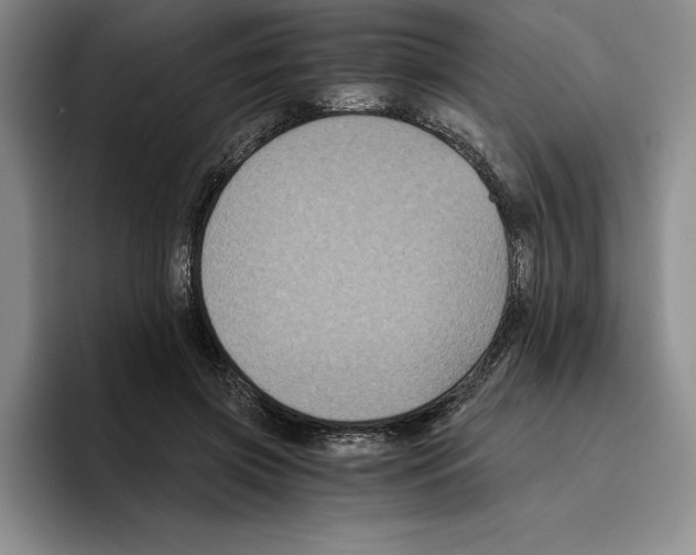 X0000096400549200802211206