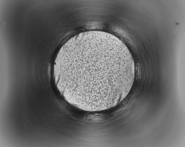 X0000096400550200802211206