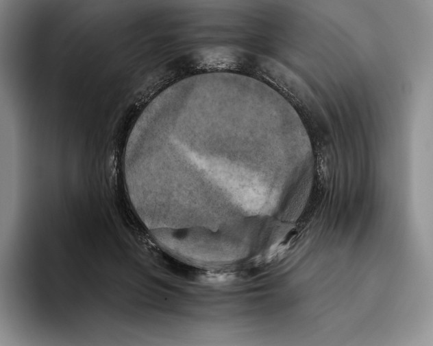 X0000096400551200802211206