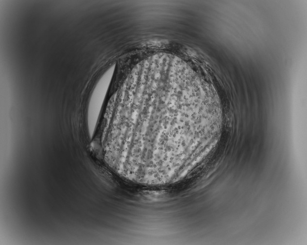 X0000096400552200802211206