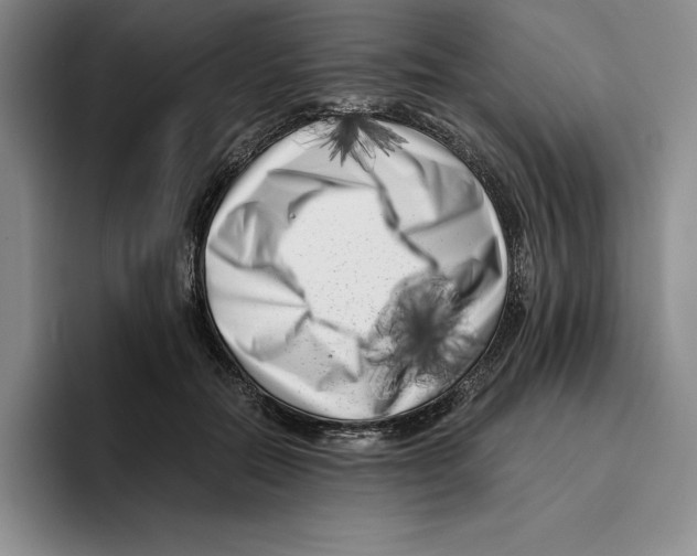 X0000096400554200802211206