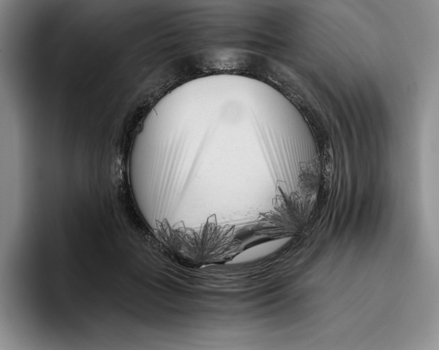 X0000096400555200802211206
