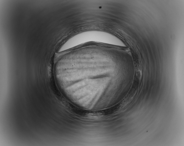 X0000096400556200802211206