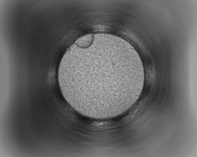 X0000096400557200802211206