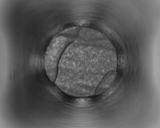 X0000096400558200802211206