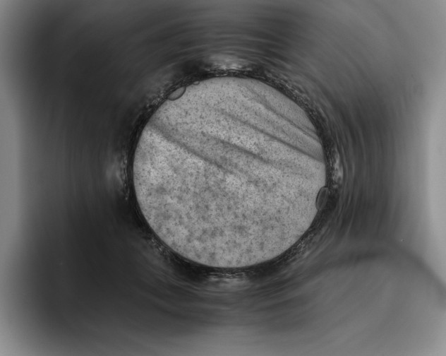 X0000096400559200802211206