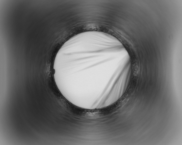 X0000096400560200802211206