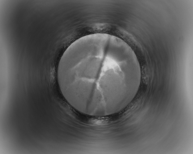 X0000096400563200802211206