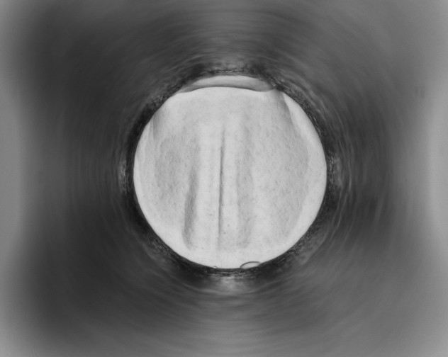 X0000096400564200802211206