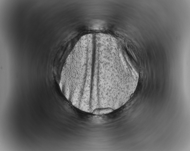 X0000096400566200802211206