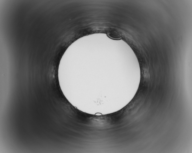 X0000096400567200802211206