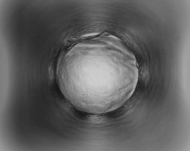 X0000096400568200802211206