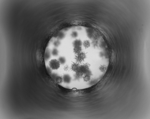 X0000096400569200802211206