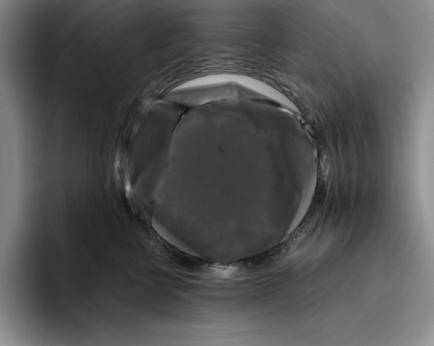 X0000096400570200802211206