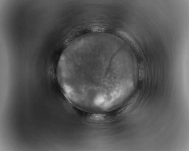 X0000096400573200802211206