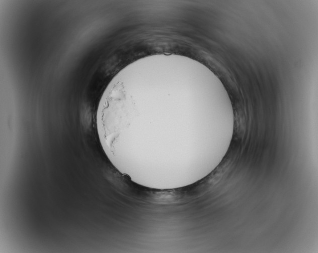 X0000096400574200802211206