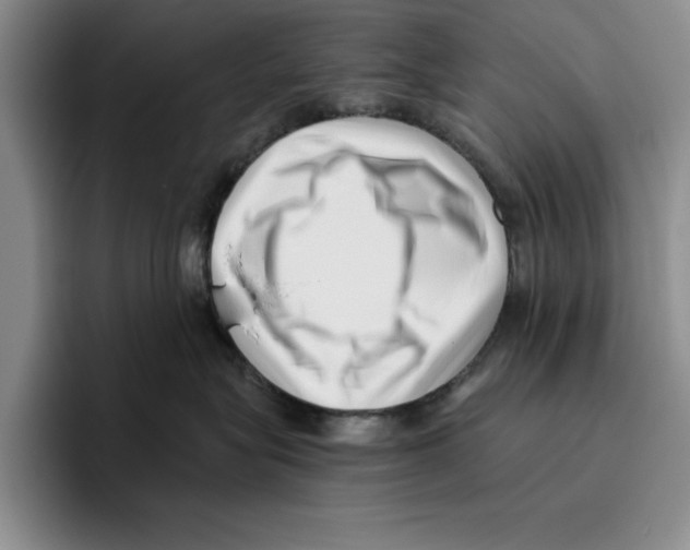 X0000096400575200802211206