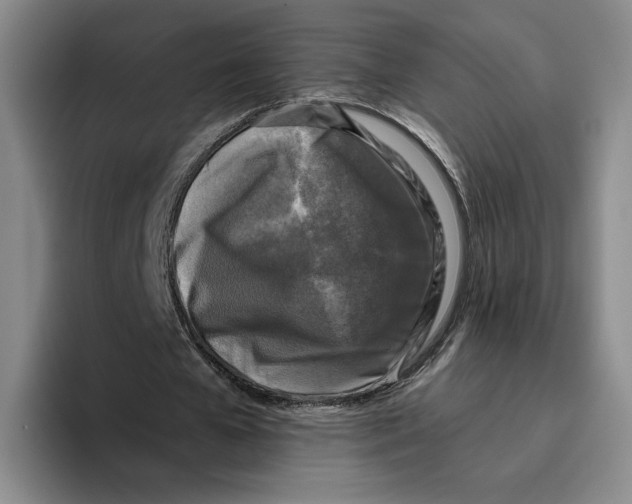 X0000096400577200802211205