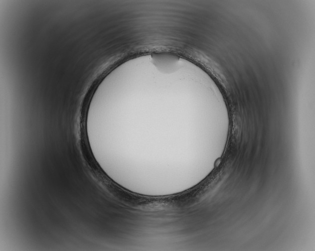 X0000096400578200802211205