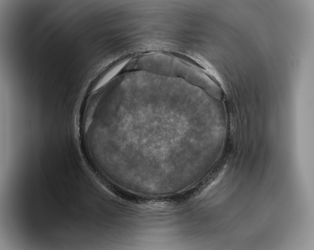 X0000096400581200802211205