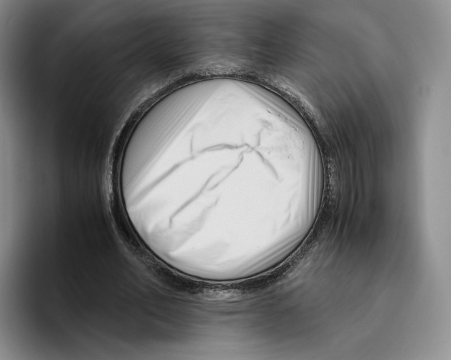 X0000096400582200802211205