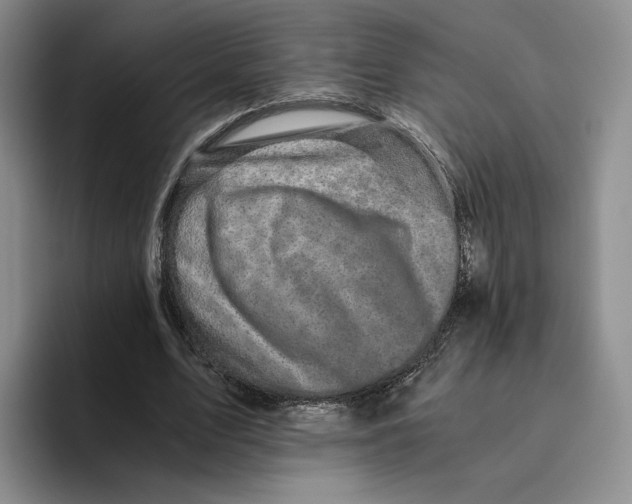 X0000096400583200802211205