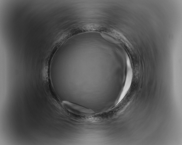 X0000096400585200802211205