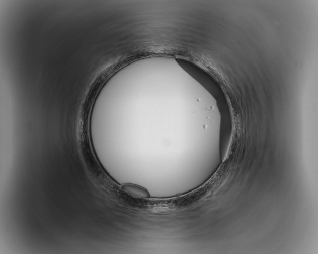 X0000096400587200802211205