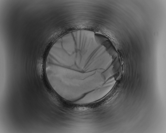 X0000096400590200802211205