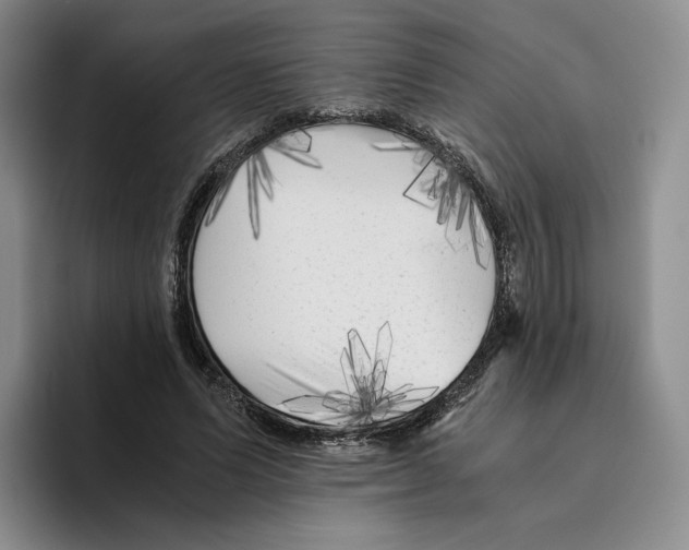 X0000096400591200802211205
