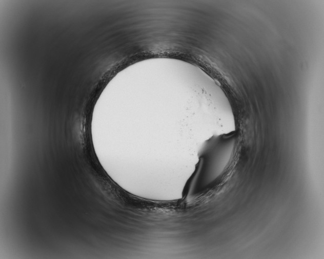 X0000096400592200802211205