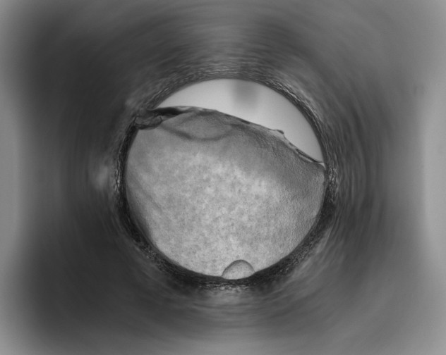 X0000096400593200802211205