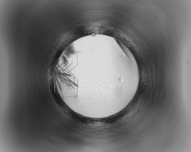 X0000096400594200802211205