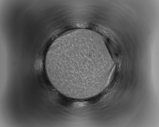 X0000096400595200802211205